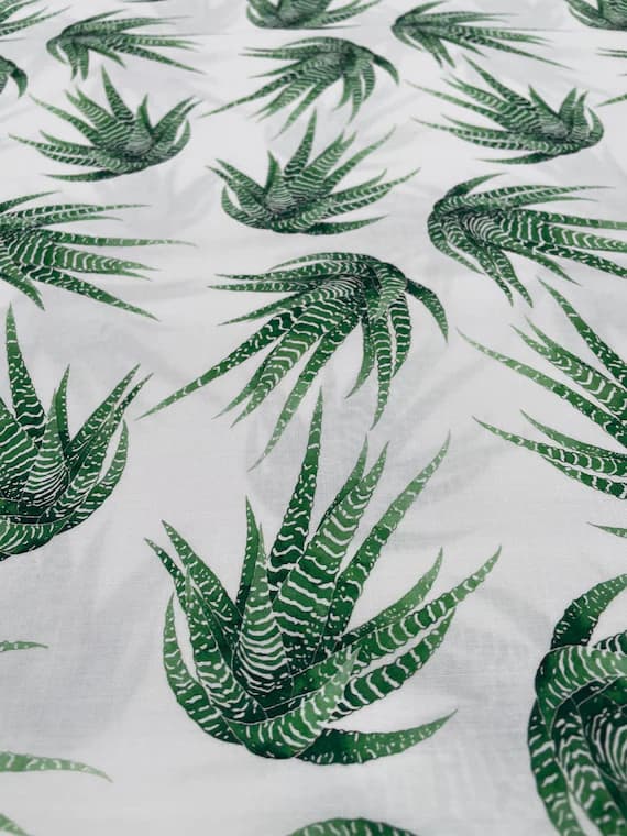 cotton fabric - Modern Botanicals - Haworthia Succulent - Paintbrush Studio Cotton Fabrics
