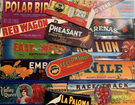 none - Lot of 15 Vintage Fruit & Vegetable Crate Labels