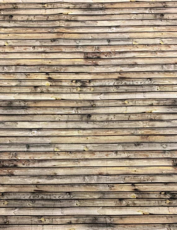 cotton fabric - Stripped Pine Neutral - Timberland - by Robert May for Northcott Cotton Fabric