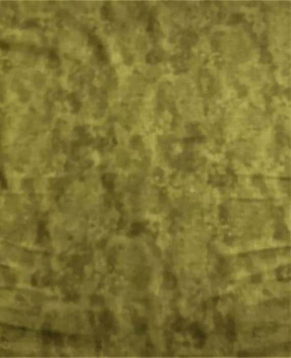 green cotton fabric - Artichoke Green - Toscana - by Deborah Edwards for Northcott Cotton Fabric