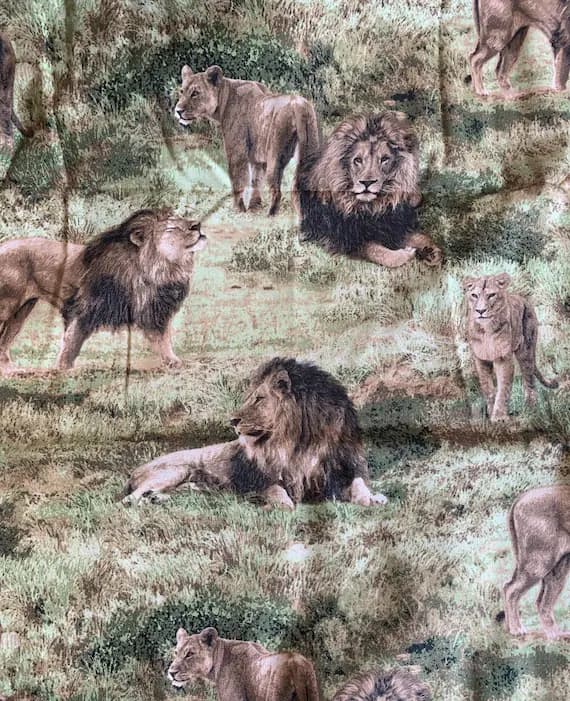 cotton fabric - Lions - Born Free - Paintbrush Studio 100% Cotton Fabric