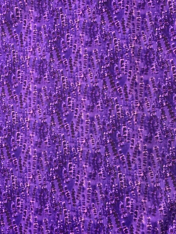 lavender cotton fabric - Lavender - Lavender Fields - Northcott Studio Fabrics